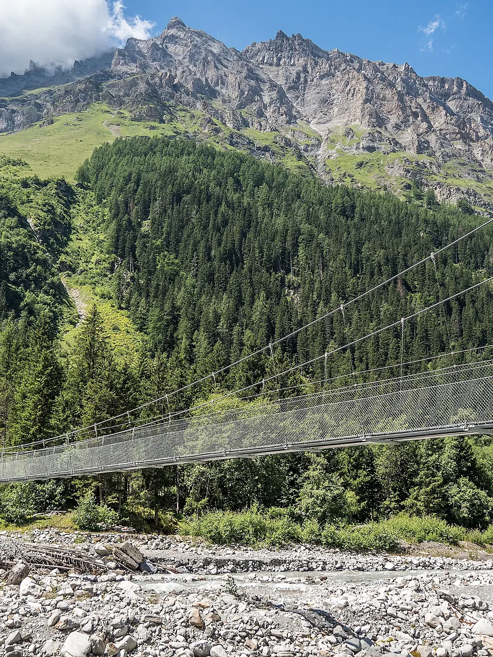Hängebrücke über die Kander, dahinter Wald und Berge